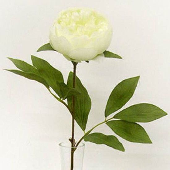 Peony Flowers Cream 63cm - P031 K4