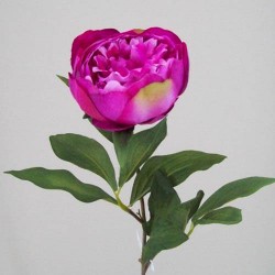 Peony Flowers Two Tone Pink 60cm - P042 J2