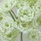Artificial Queen Anne's Lace White 74cm - Q002 