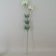 Artificial Queen Anne's Lace White 74cm - Q002 