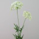Artificial Queen Anne's Lace White 74cm - Q002 