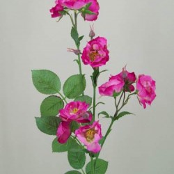 Wild Rose Spray Pink 74cm - R104 M4