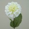 Zinnia Cream 46cm - Z022 T2