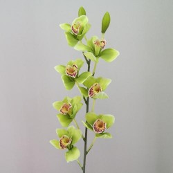 Artificial Cymbidium Orchid Lime Green 81cm - O076 J3