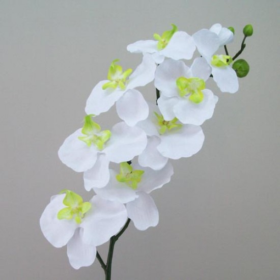 Artificial Phalaenopsis Orchid White 102cm - O075 BX9