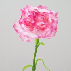 Artificial Silk Carnation Pink Cream 60cm - C150 B3