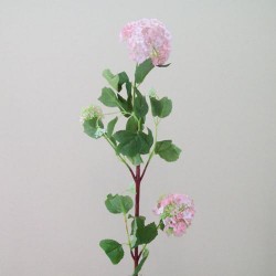 Silk Viburnum | Guelder Rose Pink 75cm - V014 R4