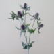 Artificial Eryngium Thistles Sea Holly Lavender 82cm - E007 FF1