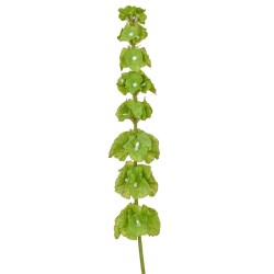 Artificial Bells of Ireland 74cm - B097