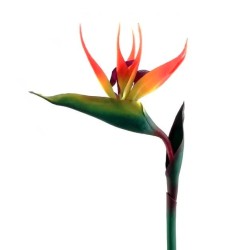 Artificial Birds of Paradise Medium 83cm - B001A A2