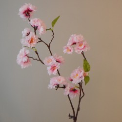 Cherry Blossom Branch Light Pink 75cm - B025 B4