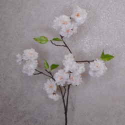 Cherry Blossom Branch White 75cm - B034 B2