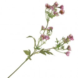 Artificial Buttercups Pale Pink 63cm - B083  : COMING SOON