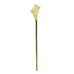 Artificial Calla Lilies Real Touch Medium Cream 60cm - C184 COMING SOON