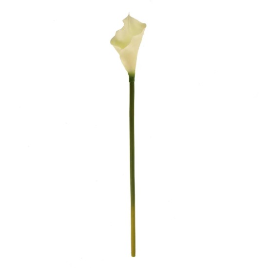 Artificial Calla Lilies Real Touch Medium Cream 60cm - C184 COMING SOON