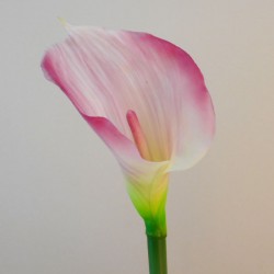 Artificial Calla Lilies Real Touch Pink Cream 70cm - L065 LL2