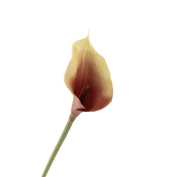 Artificial Calla Lilies Real Touch Cream and Aubergine Plum 72cm - L065