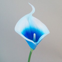 Real Touch Artificial Calla Lily Blue and White 35cm - L112 KK3
