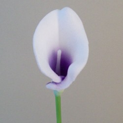 Real Touch Artificial Calla Lily Purple and White 37cm - L165 I3
