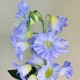 Artificial Campanula Bell Flowers Blue 87cm - C070 C4 Artificial Campanula Bell Flowers Blue 87cm - C070 C4