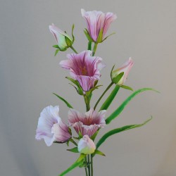 Artificial Campanula Bell Flowers Pink - B071 C1