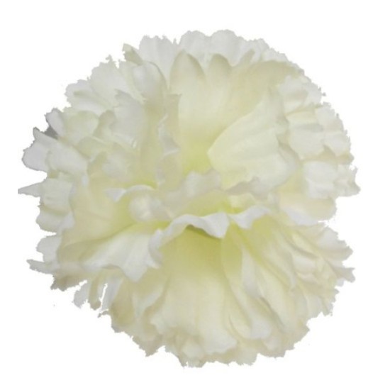 Short Stem Carnation Ivory 9cm - C066A FF2