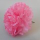 Short Stem Carnation Pink 9cm - C073 