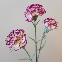 Artificial Spray Carnations Bicolour Cream Magenta 60cm - C038 A2