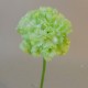 Mini Artificial Carnations Lime Green 31cm - C105 A3