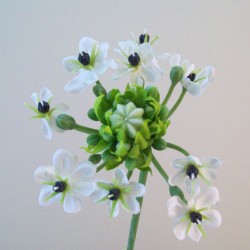 Artificial Chincherinchee Flowers White 63cm - C228 A3