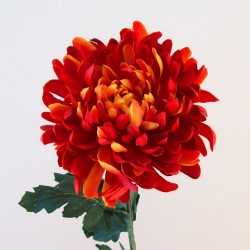 Artificial Bloom Chrysanthemum Flame Red Orange - C182 D1