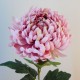 Artificial Bloom Chrysanthemum Pink 73cm - C034 B4