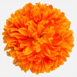 Artificial Chrysanthemum Orange Heads Only 19cm - C199 EE2