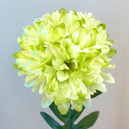 Pompom Chrysanthemum Lime Green 74cm - C248 C1 Pompom Chrysanthemum Lime Green 74cm - C248 C1