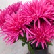 Artificial Spider Chrysanthemums Carnival Hot Pink 64cm - S072 Q2