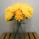 Artificial Spider Chrysanthemums Carnival Yellow 64cm - S074 R3
