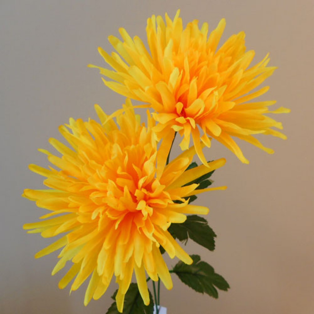 Artificial Spider Chrysanthemums Carnival Yellow 64cm | Silk Flowers