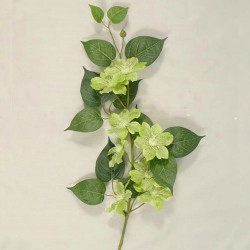 Artificial Clematis Flowers Green - C112 C4
