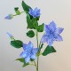 Galaxy Clematis Pale Blue 78cm - C005 C4