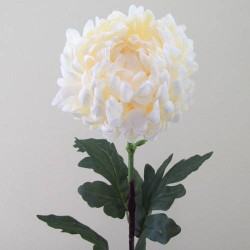 Cream Silk Chrysanthemum Large 84cm - C129 D4
