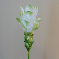 Artificial Curcuma Longa | Turmeric Flower White Green - T034 Q3
