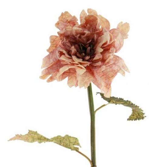 Antique Dahlia Dusky Pink 65cm | Faux Dried Flowers - D188 BX18