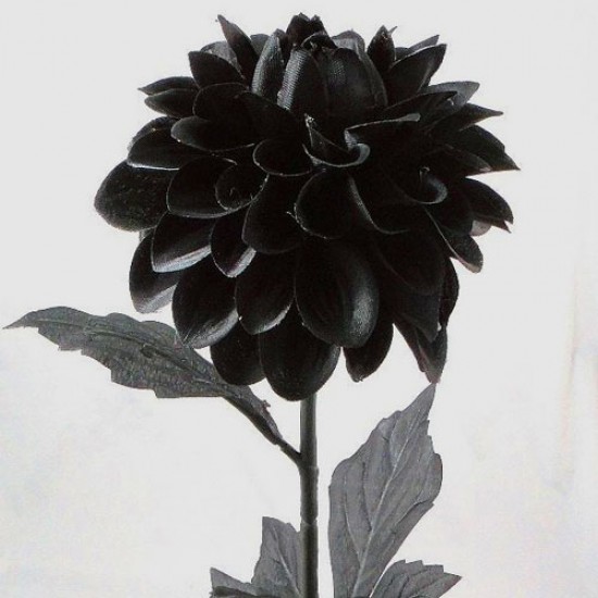 black silk flowers