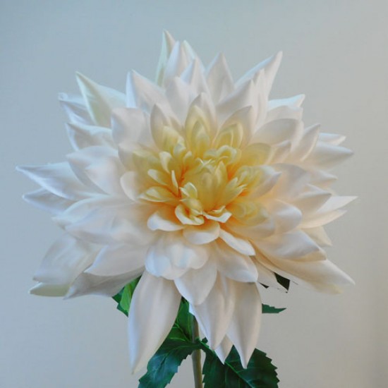 Café Au Lait Dahlia 98cm - C027 R4