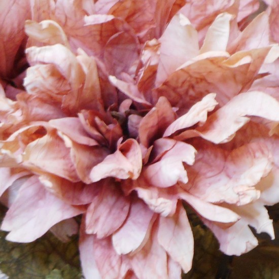 Antique Dahlia Dusky Pink 65cm | Faux Dried Flowers - D193 Antique Dahlia Dusky Pink 65cm | Faux Dried Flowers - D193