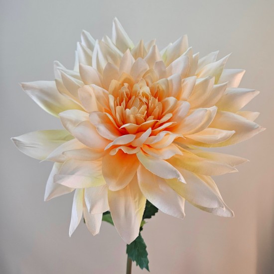 Large Dahlia Peach 98cm - C101 ii2