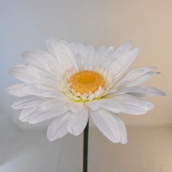 Giant Supersized Artificial Daisies White | VM Display Prop - D168 CC1