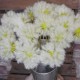 Artificial Dandelion Clock Meadow Flowers 50cm - D003 D4