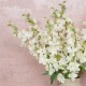 Luxury Ivory Silk Delphinium or Larkspur 72cm - D034 D3