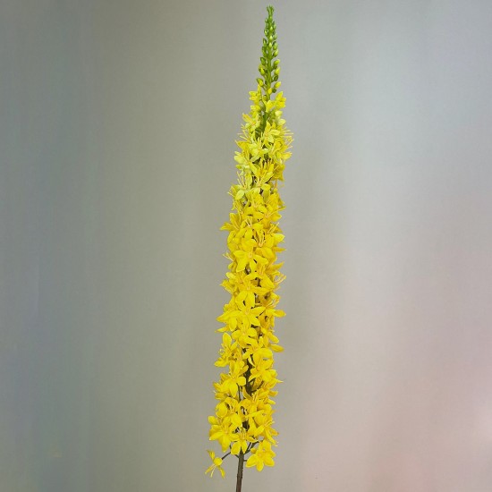 Artificial Eremurus | Foxtail Lilies Yellow 109cm - E001 R2